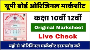 UP Board Original Marksheet 2024 Download PDF